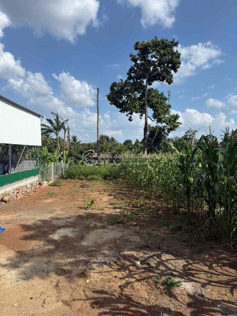 Chính chủ cần bán