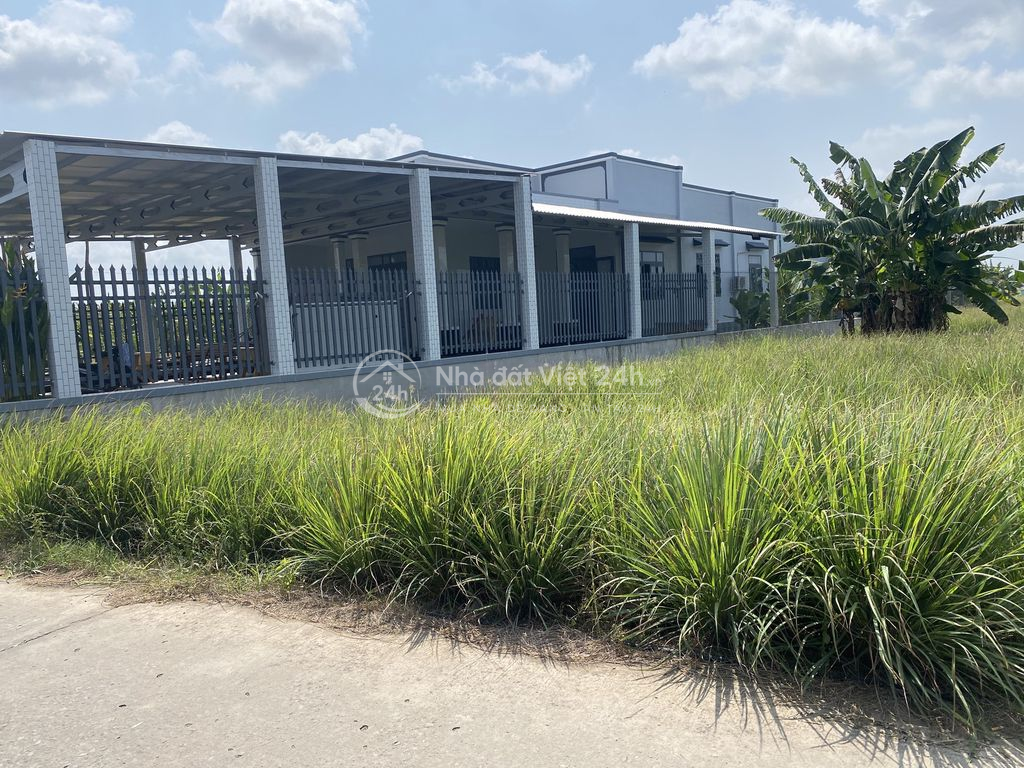 Chính chủ cần bán lô đất thổ cư Phú Thạnh, Tân Phú Đông, Tiền Giang