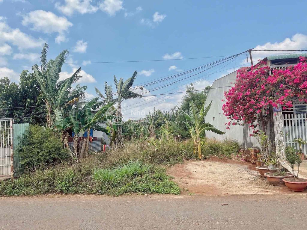Đất TC hẻm Triệu Quang Phục gần chợ Thành Nhất 5x22 1,45 tỷ đương nhua