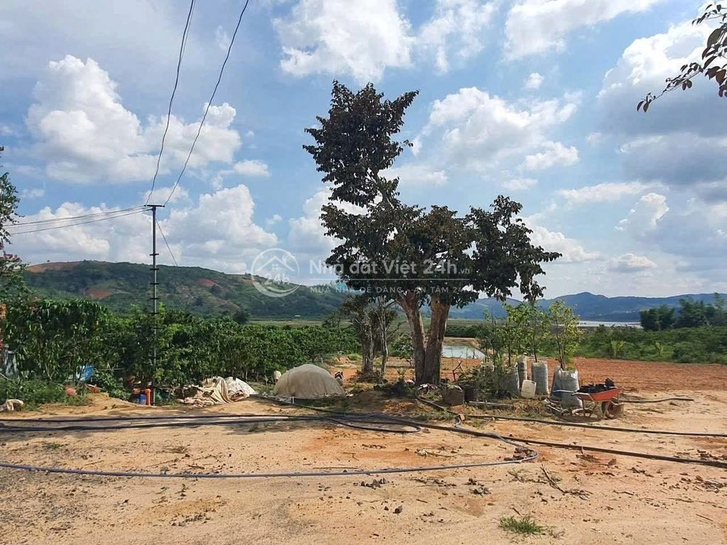 Chính chủ bán 2ha đất Krông Nô bám QL27, view hồ Nam Ka, nguồn thu tốt