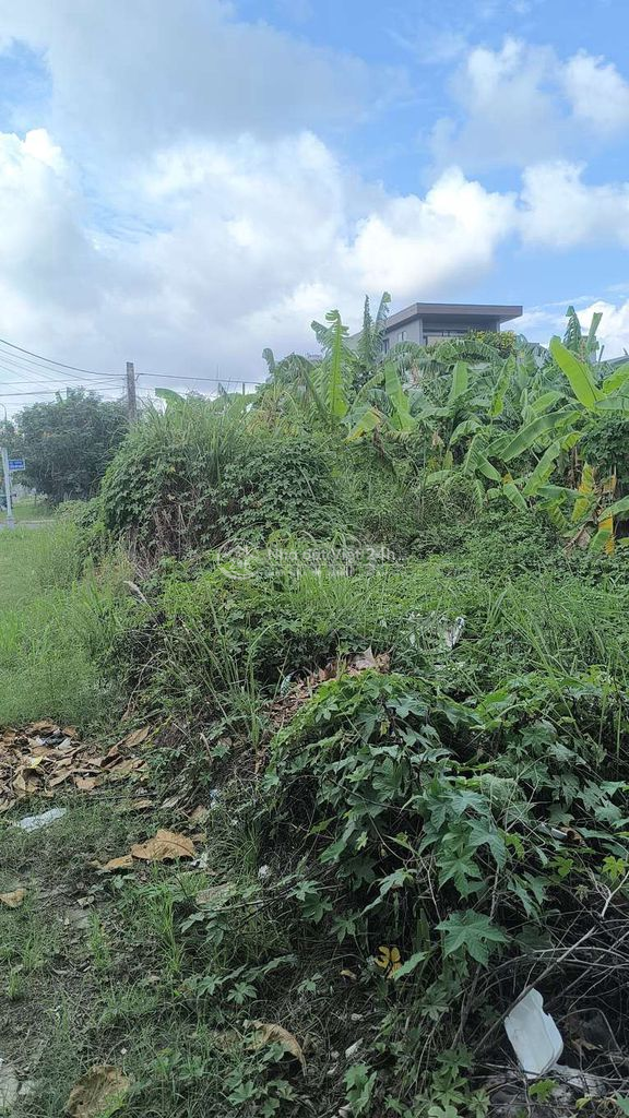 Đất Kiệt ô tô, đường Nam Kỳ khởi Nghĩa gần chợ đầu mối mới , giá rẻ