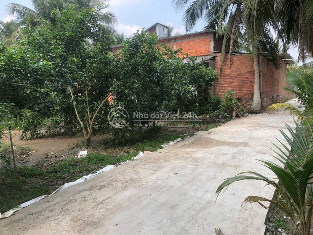 Bán Đất Long Hưng, Tiền Giang, Đồng Tháp. 9,10m x 27m = 248m đường ôtô