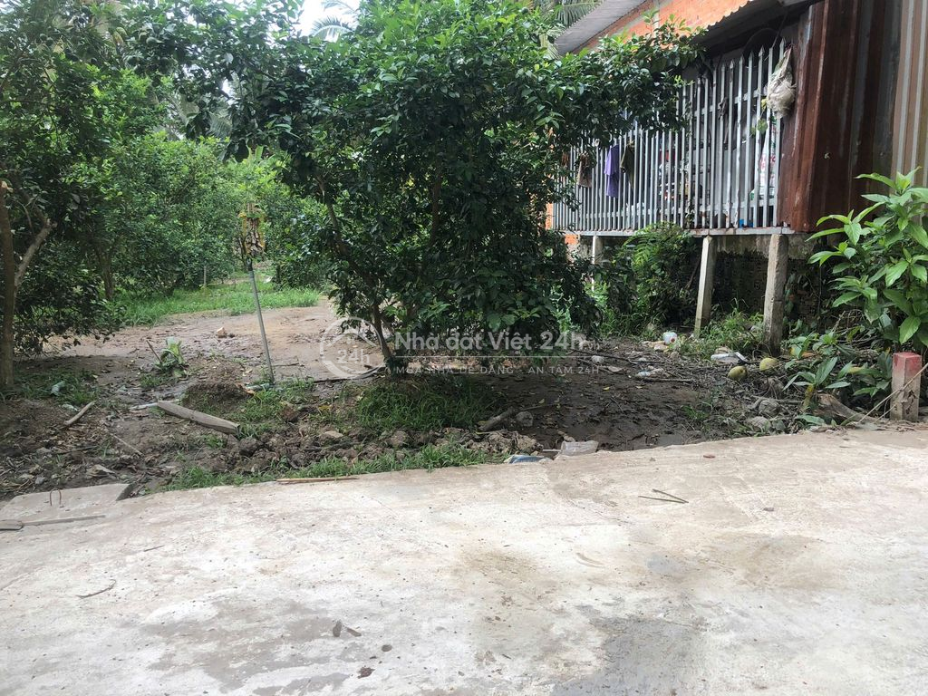 Bán Đất Long Hưng, Tiền Giang, Đồng Tháp. 9,10m x 27m = 248m đường ôtô