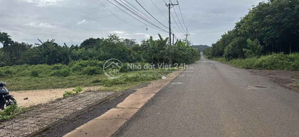 Chủ Ngộp bán gấp 890tr full thổ cư, 123m2 Mặt tiền Xuân Quế Sông Nhạn