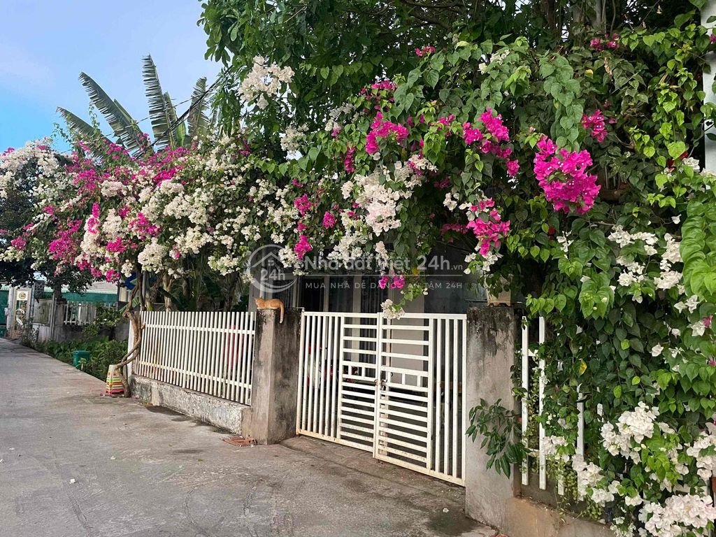 bán nhà chính chủ