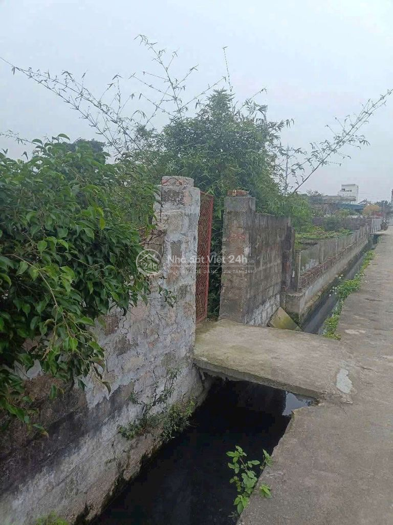 Đất thổ cư trong ngõ ô tô thông