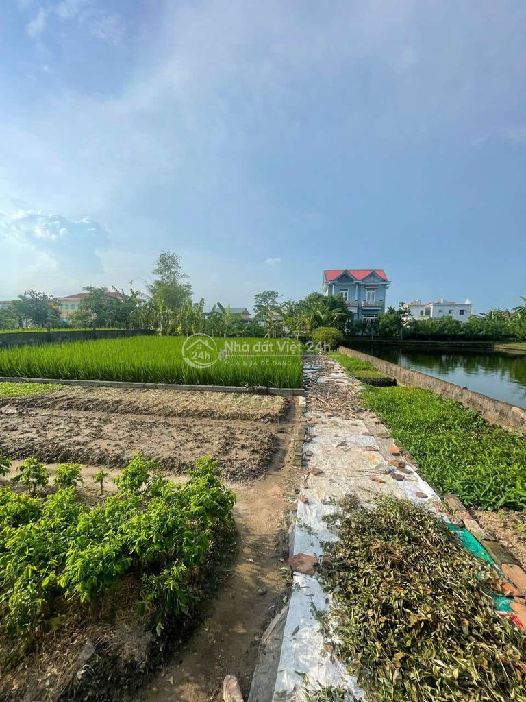 Đất thổ cư trong ngõ ô tô thông