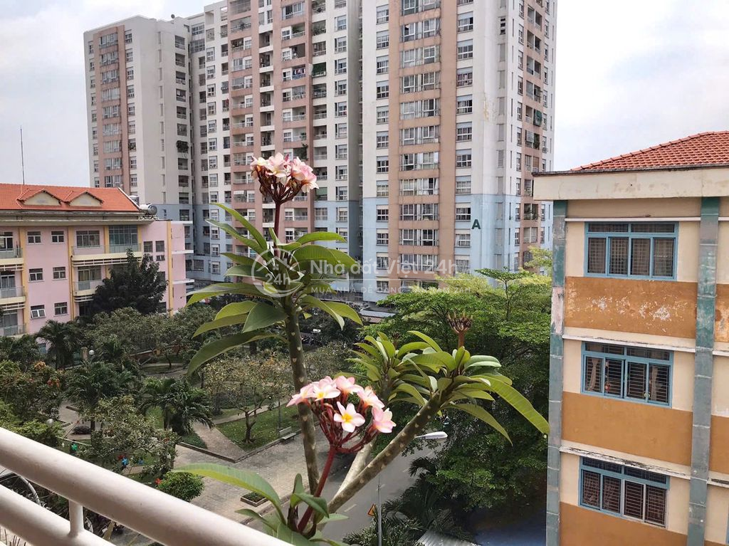 Chung Cư Tân Bình 3 PN 11 triệu.