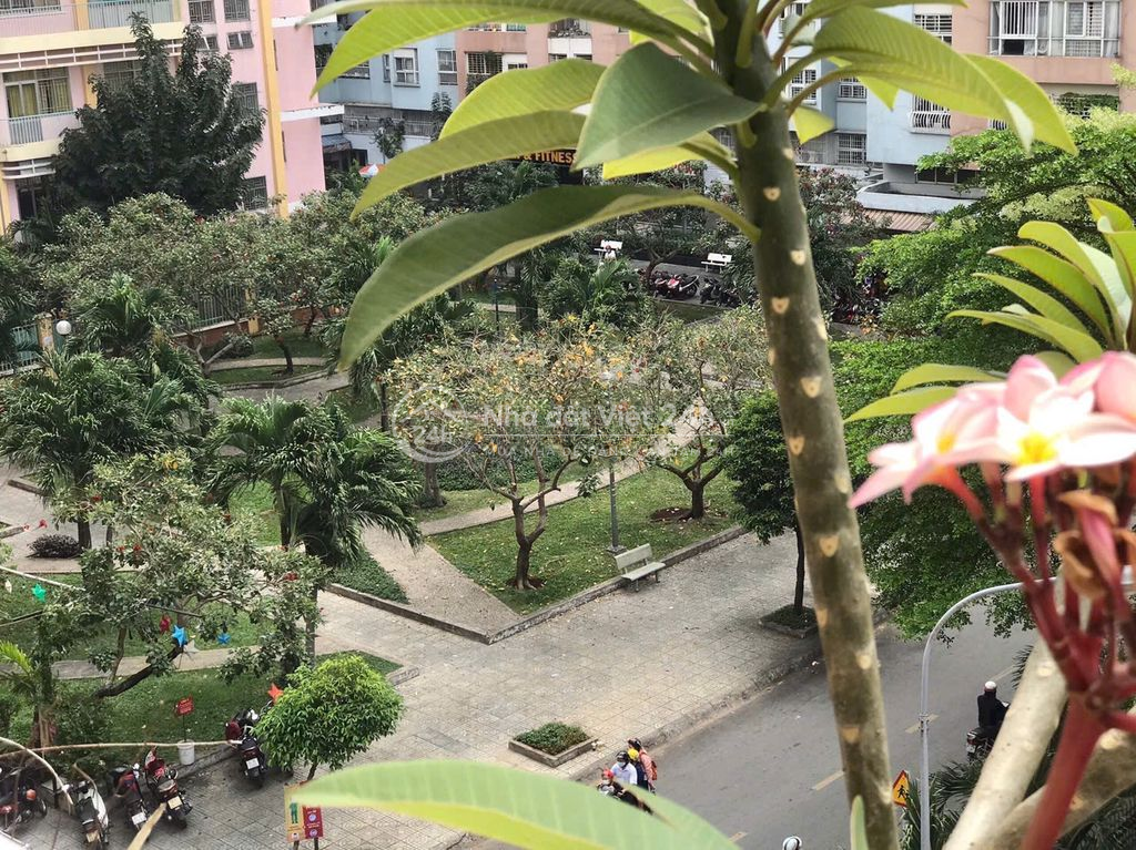 Chung Cư Tân Bình 3 PN 11 triệu.
