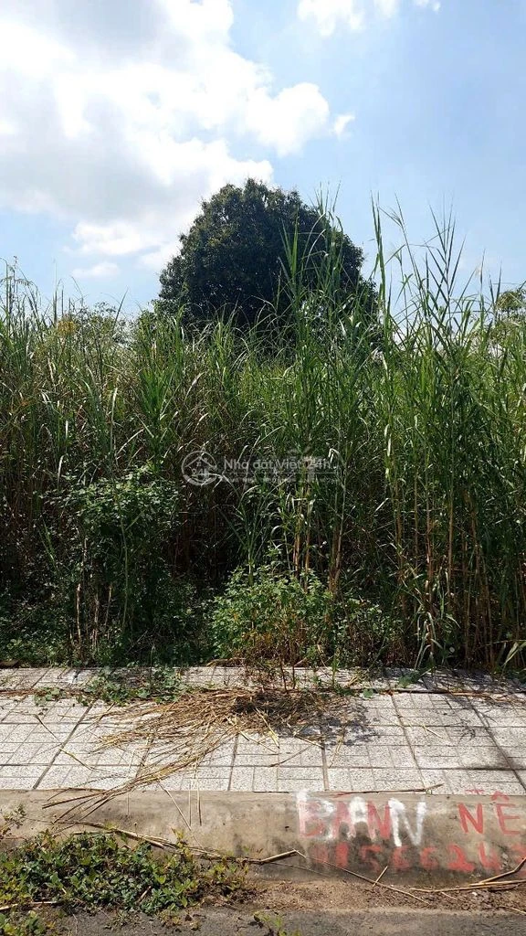 Bán nền khu dân cư AB
