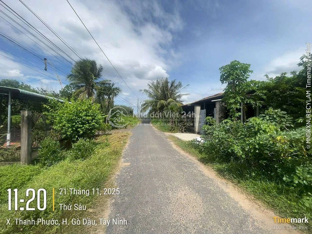 bán đất