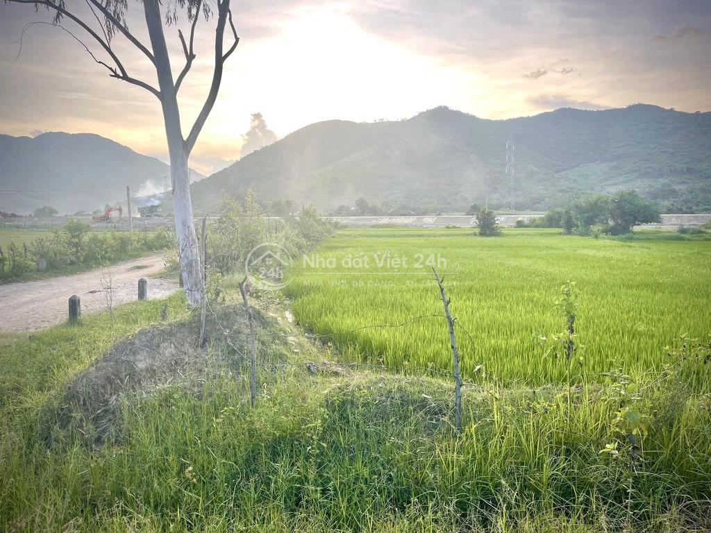 Chính Chủ cần bán đất gần KCN Vạn Lương, KKT Vân Phong, Khánh Hoà