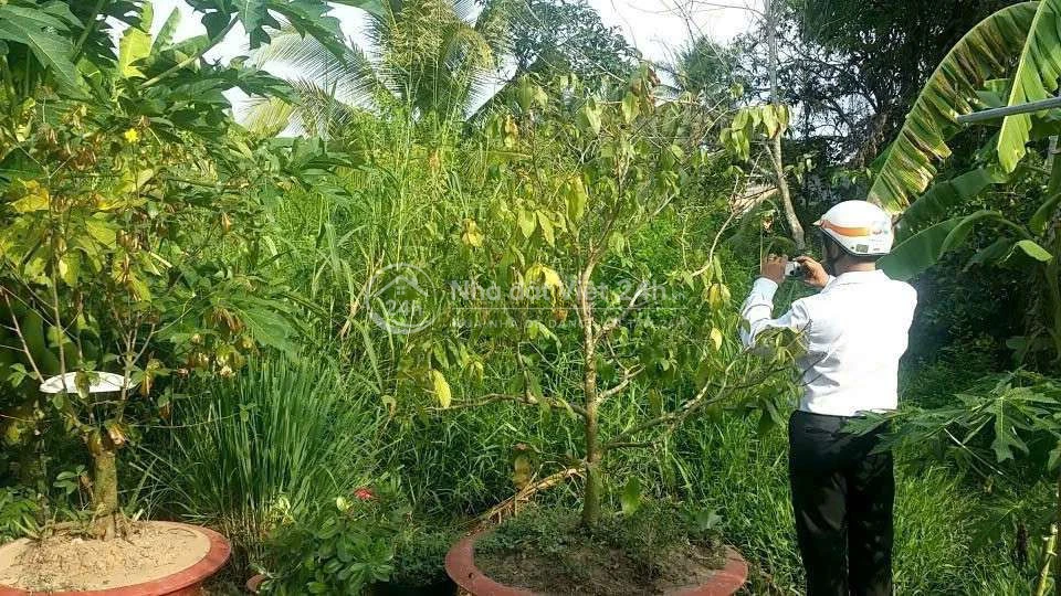 Đất giá rẻ
