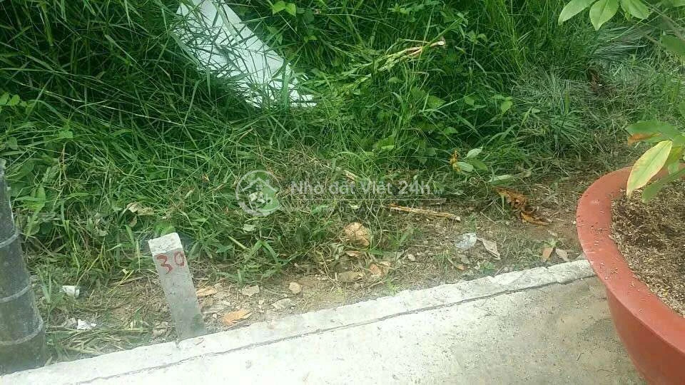 Đất giá rẻ