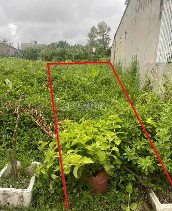 Đất Sư Vạn Hạnh