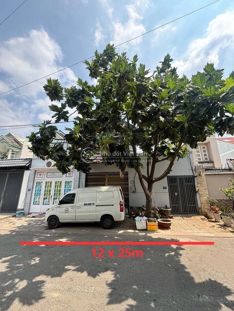 Chính Chủ Bán Đất 12x 25m tại Tân Phong- Giá 8.2 tỷ