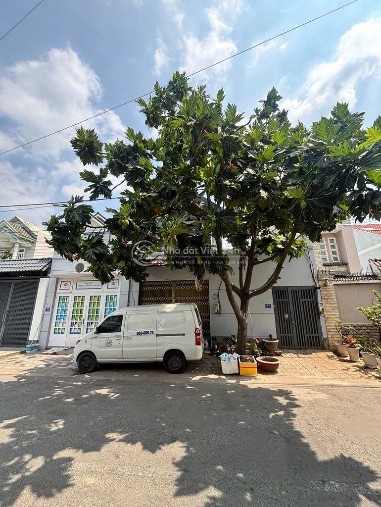 Chính Chủ Bán Đất 12x 25m tại Tân Phong- Giá 8.2 tỷ