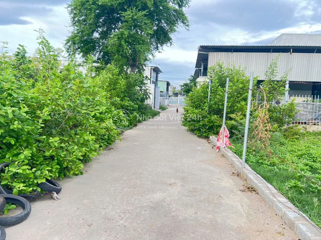 Bán lô đất thổ cư 175m2 cách biển Ninh Chử Ninh Thuận 3 phút