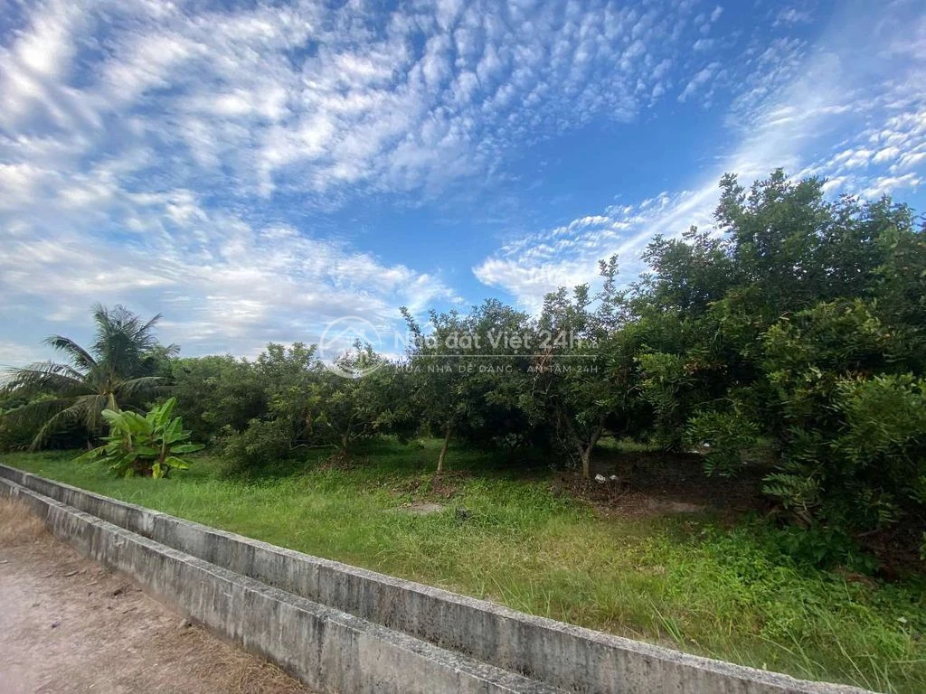 CHÍNH CHỦ BÁN ĐẤT CÂY LÂU NĂM Ở TÂY NINH