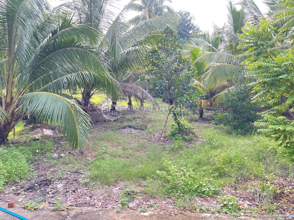 Nhà Đất phường Tân Ninh ( phường 1 cũ) ...chính chủ mua bán.