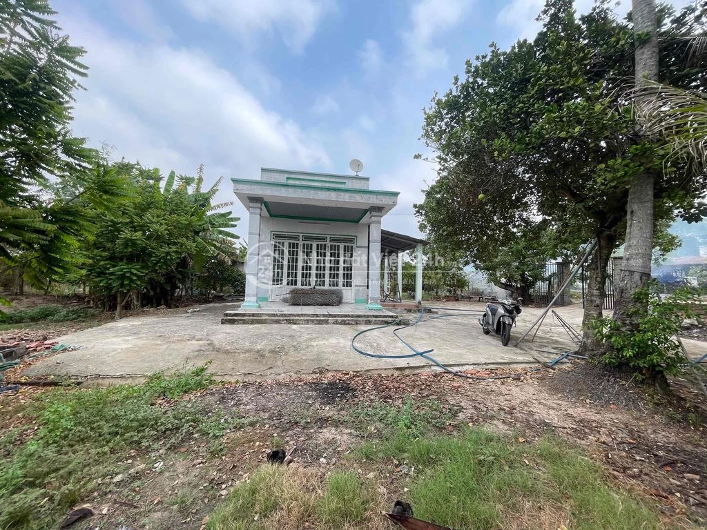 Nhà Đất phường Tân Ninh ( phường 1 cũ) ...chính chủ mua bán.