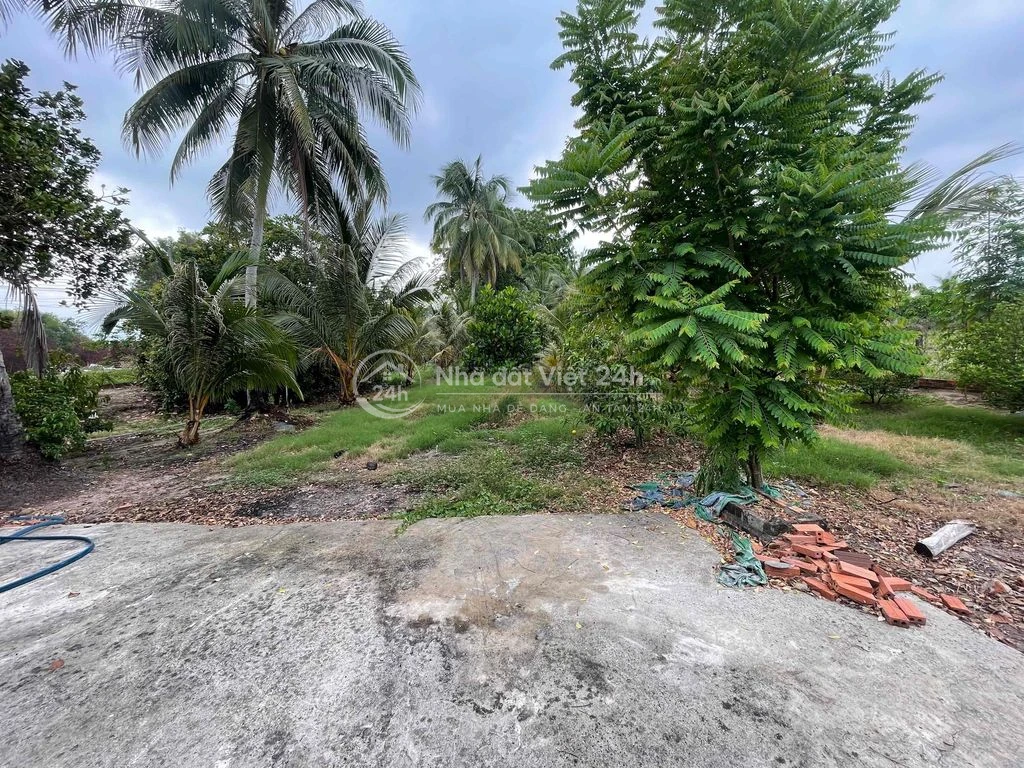 Nhà Đất phường Tân Ninh ( phường 1 cũ) ...chính chủ mua bán.