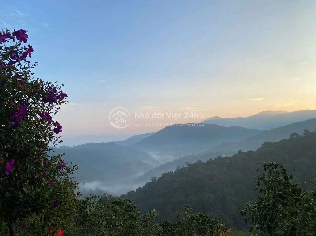 Đất nghỉ dưỡng, làm home stay, thiền định, du lịch sinh thái