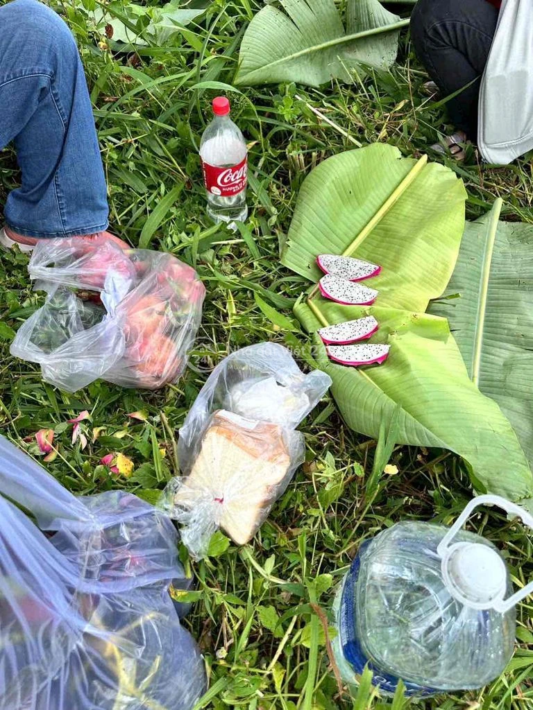 Đất Sào Cây Ăn Trái Ngay Chợ Bình Lộc - Long Khánh, Sổ Riêng, Giá Rẻ