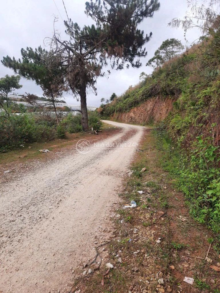 Đất đầu tư