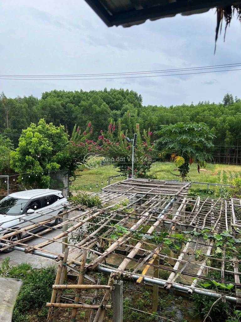 cần bán căn nhà vườn tâm huyết tại thôn hoà phước, xã hoà phú