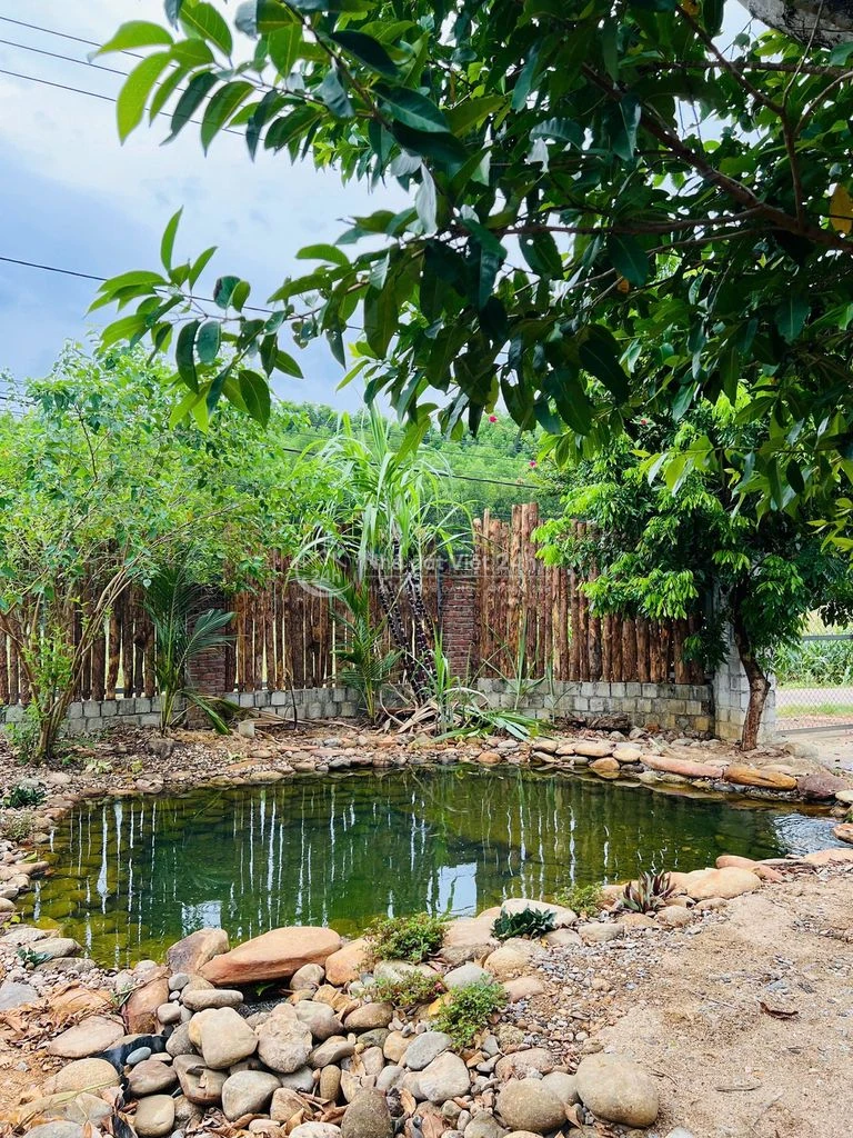 cần bán căn nhà vườn tâm huyết tại thôn hoà phước, xã hoà phú