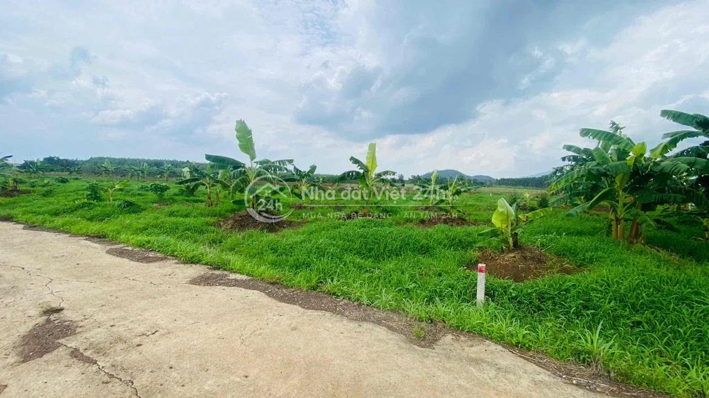 Đất vườn 2035m2 ngag 48m đường ôm quanh đất rất đẹp.