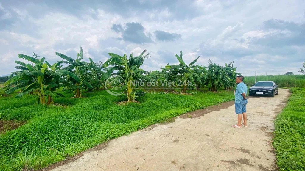 Đất vườn 2035m2 ngag 48m đường ôm quanh đất rất đẹp.