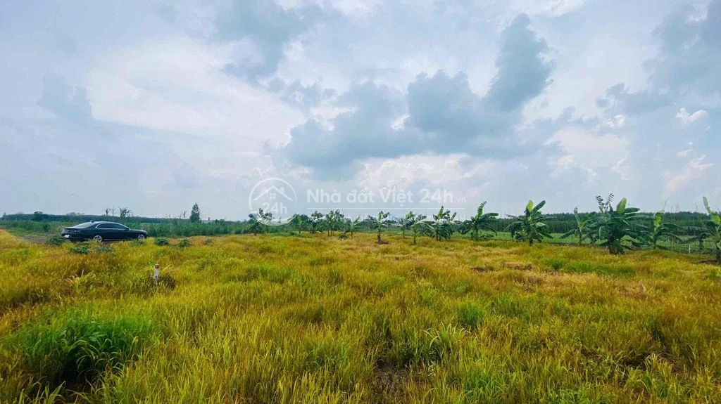 Đất vườn 2035m2 ngag 48m đường ôm quanh đất rất đẹp.