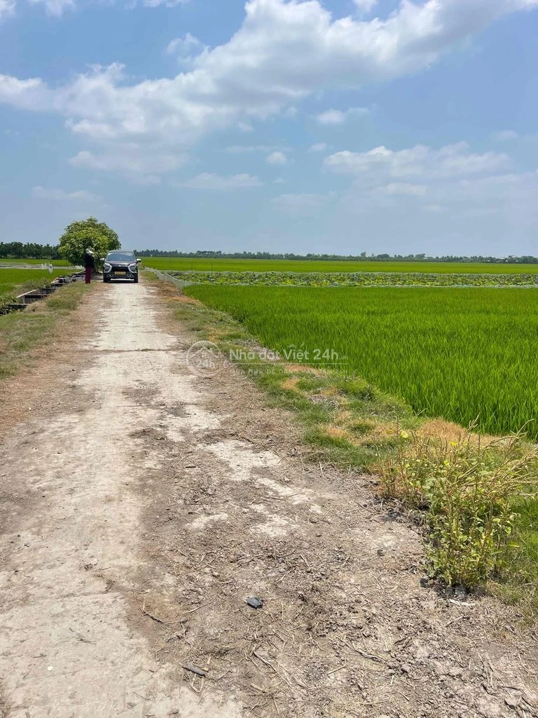 cần bán gấp đất Đồng Tháp