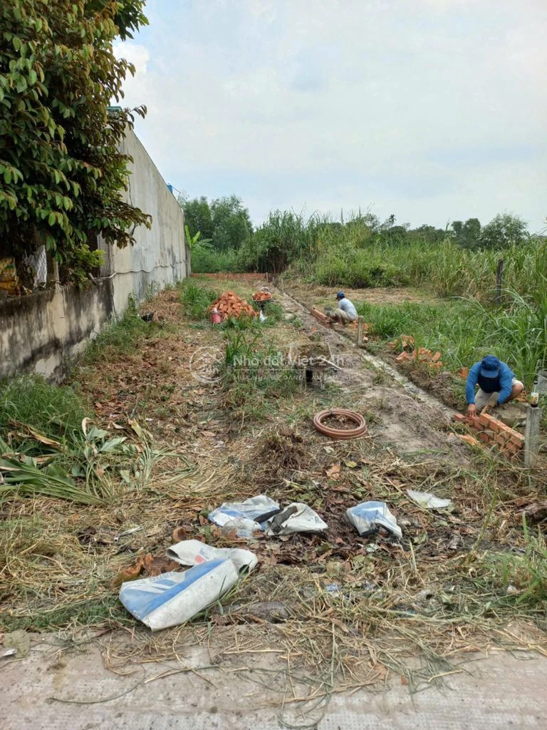 Bán đấtthổ cú