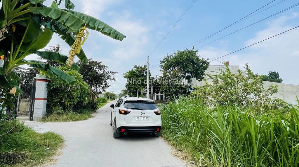 Bán đấtthổ cú