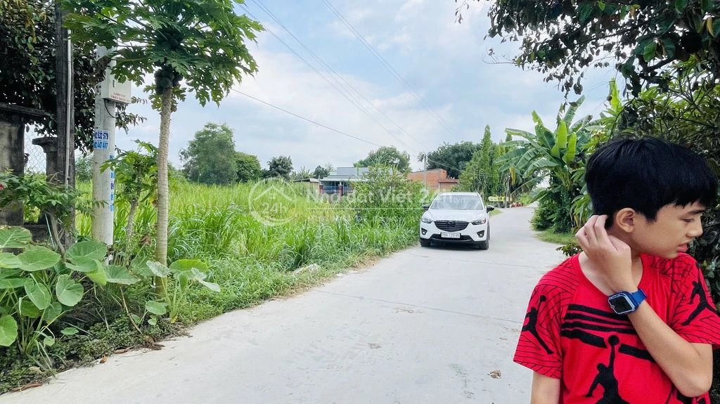 Bán đấtthổ cú