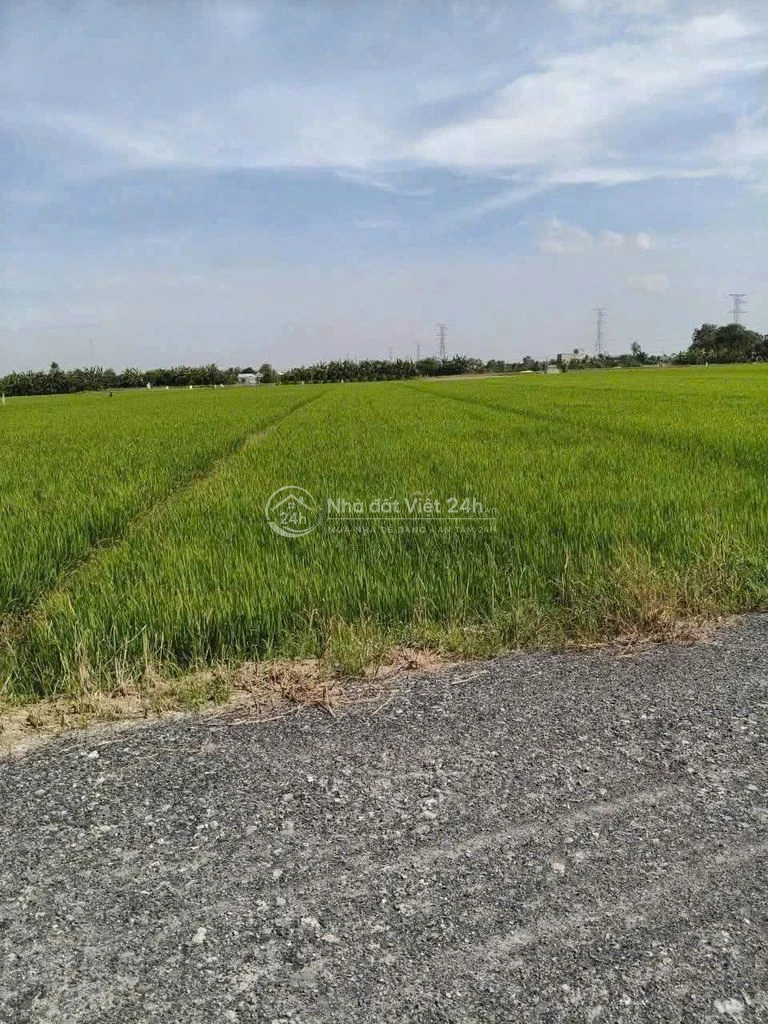 Bán 1.8 công ruộng, đường đá xanh 5m, giá 800tr hết đất