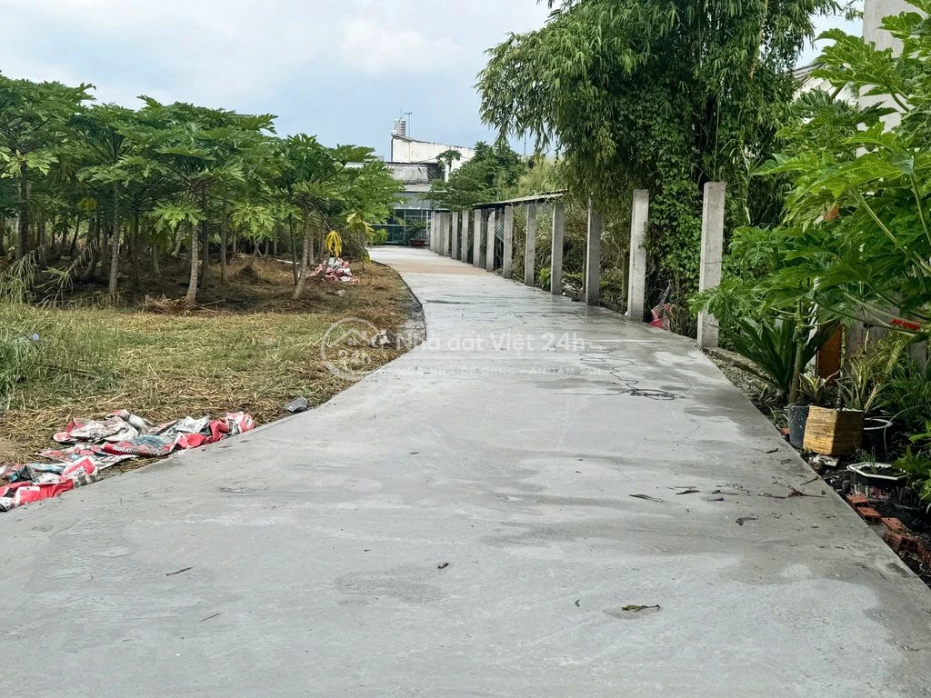 Đất thổ Cư đường Nguyễn Văn Thời, Hưng Long, Bình Chánh. Giá 1,7 tỷ