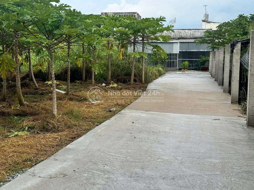Đất thổ Cư đường Nguyễn Văn Thời, Hưng Long, Bình Chánh. Giá 1,7 tỷ