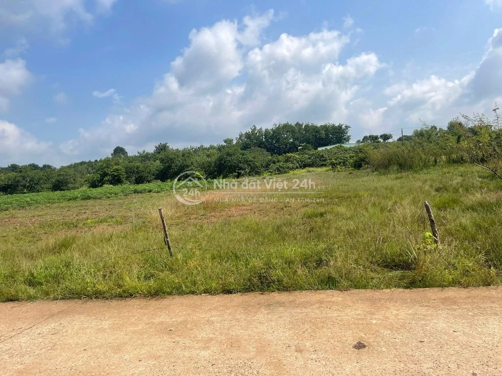 Bán Đất Ấp An Quý Gần Chợ Thanh An, Huyện Hớn Quản, Tỉnh Bình Phước