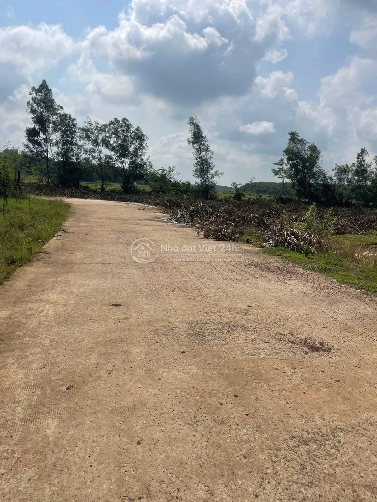 Bán Đất Ấp An Quý Gần Chợ Thanh An, Huyện Hớn Quản, Tỉnh Bình Phước