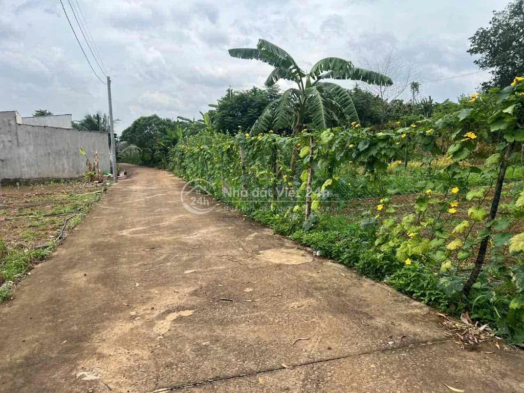 cần bán gâpd