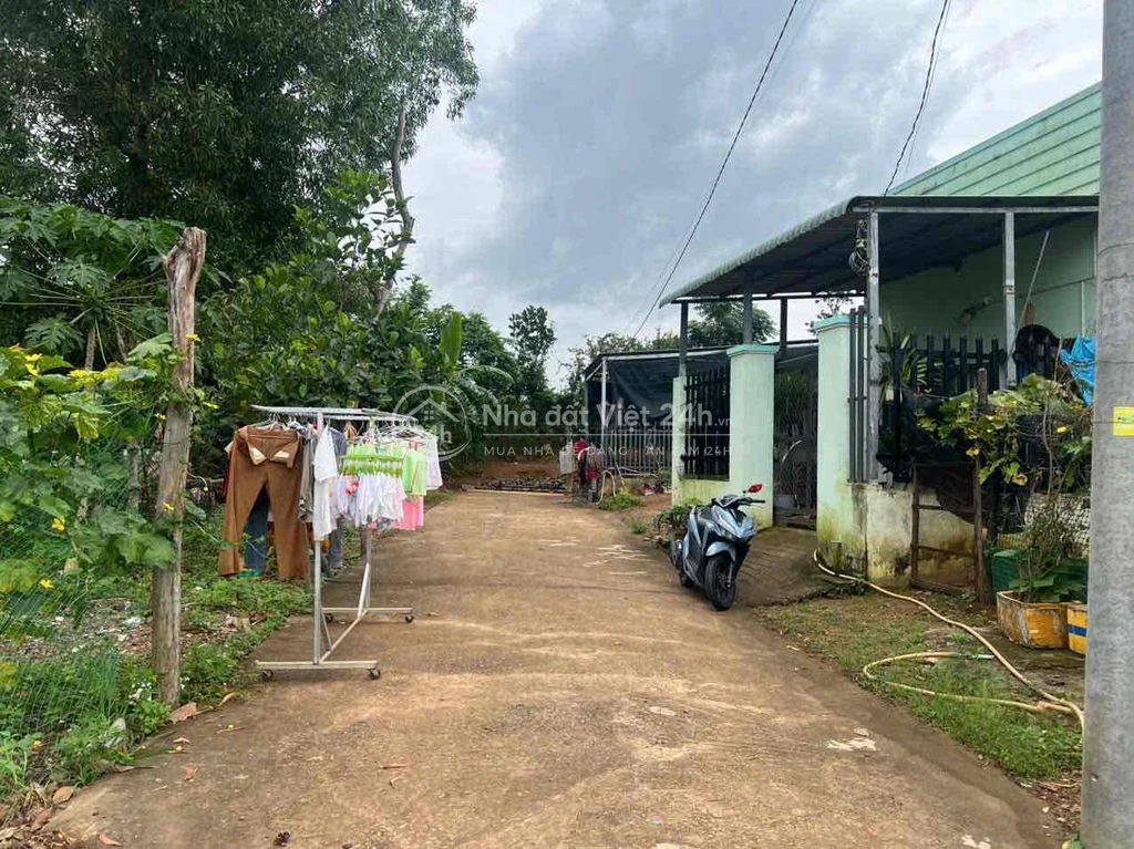 cần bán gâpd