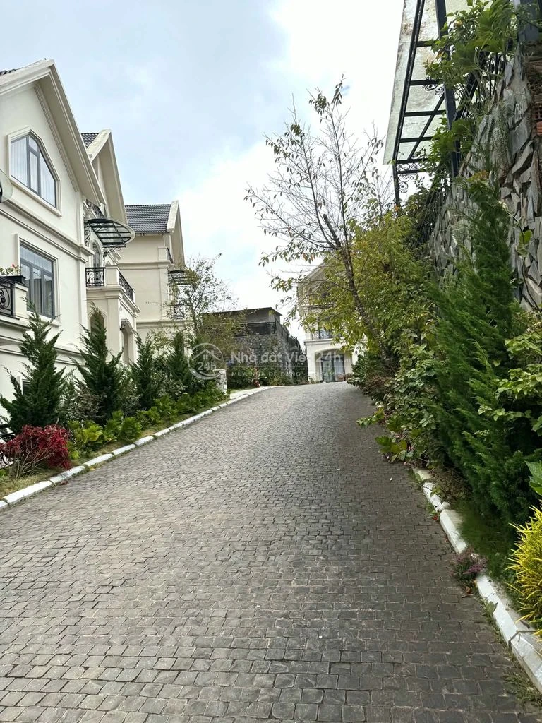Cho thuê Villa Măng lin