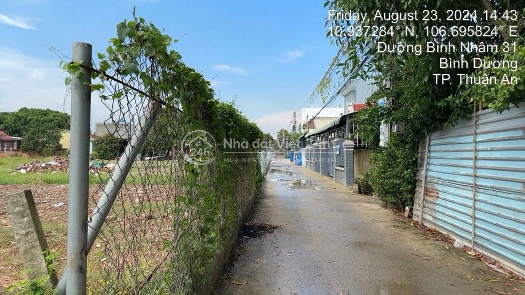 Bán đất ình nhâm 31