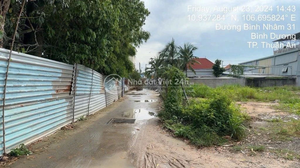 Bán đất ình nhâm 31