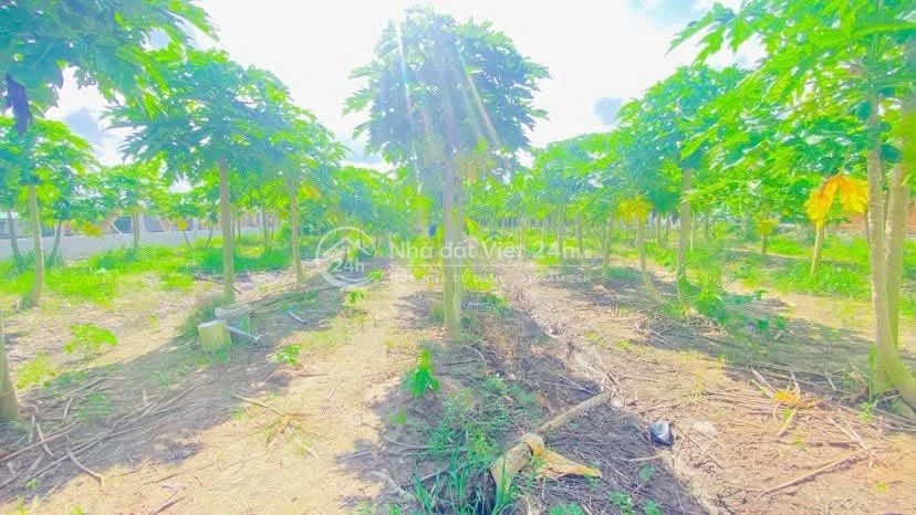 Cho thuê đất 10.000 m2 mặt tiền Nguyễn Văn Linh 20 triệu