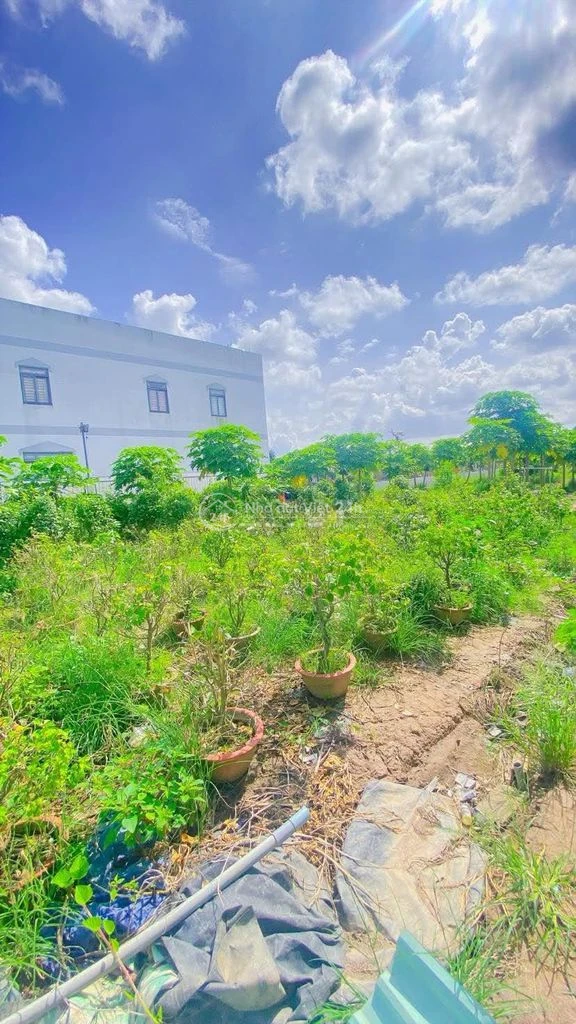 Cho thuê đất 10.000 m2 mặt tiền Nguyễn Văn Linh 20 triệu